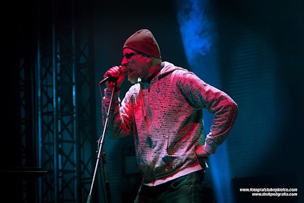 koncerty, imprezy