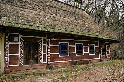różne zdjęcia