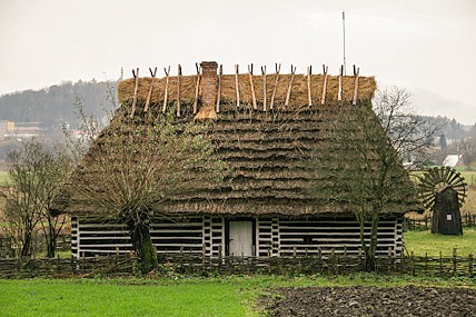 różne zdjęcia